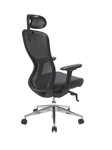 fauteuil ergonomique CONIE