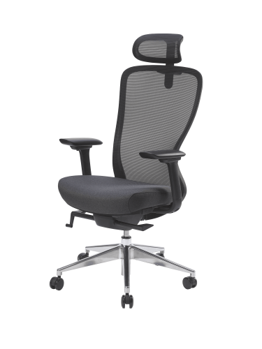 fauteuil ergonomique CONIE