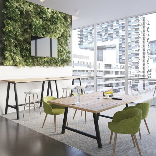 buronomic-Colibri-Chaises-pieds-bois-Vert-acide