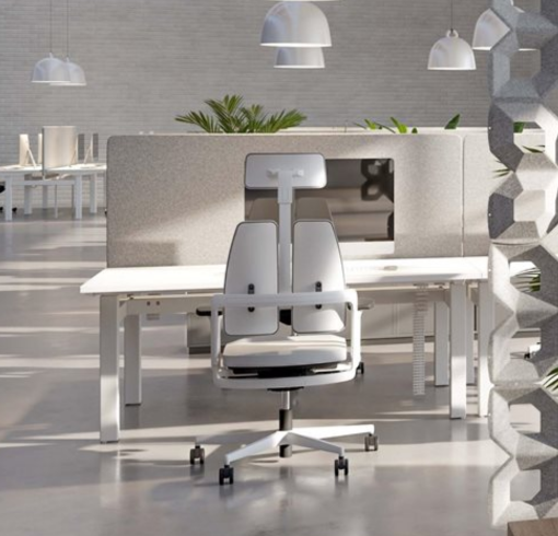 photo siège ergonomique duo back XELION avec dossier divisé en 2 parties vue de dos coloris blanc ambiance